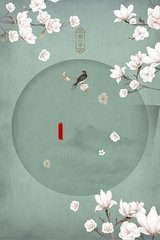 抖音桶积积视频